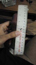IMG_20211105_145133.jpg