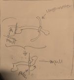LM.angle.2023_06_14 18_51 Office Lens.jpg