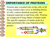 20211008060051_615fde9400782_protein_synthesispage1.png