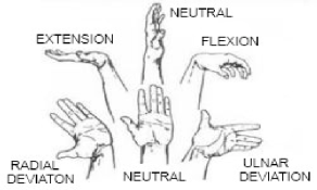 Wrist-Movements-10.png