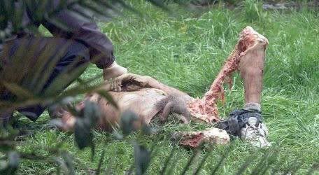 beardinner.jpg