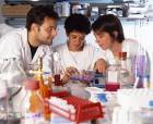 lab_team.jpg
