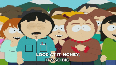 giphy.gif