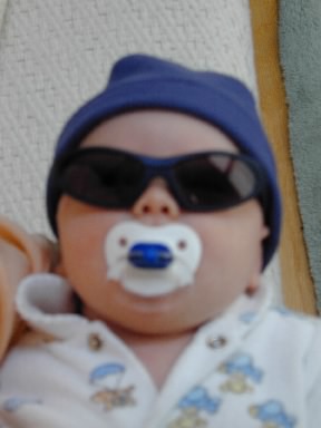 shades.jpg