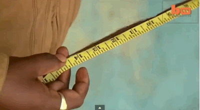 giphy.gif