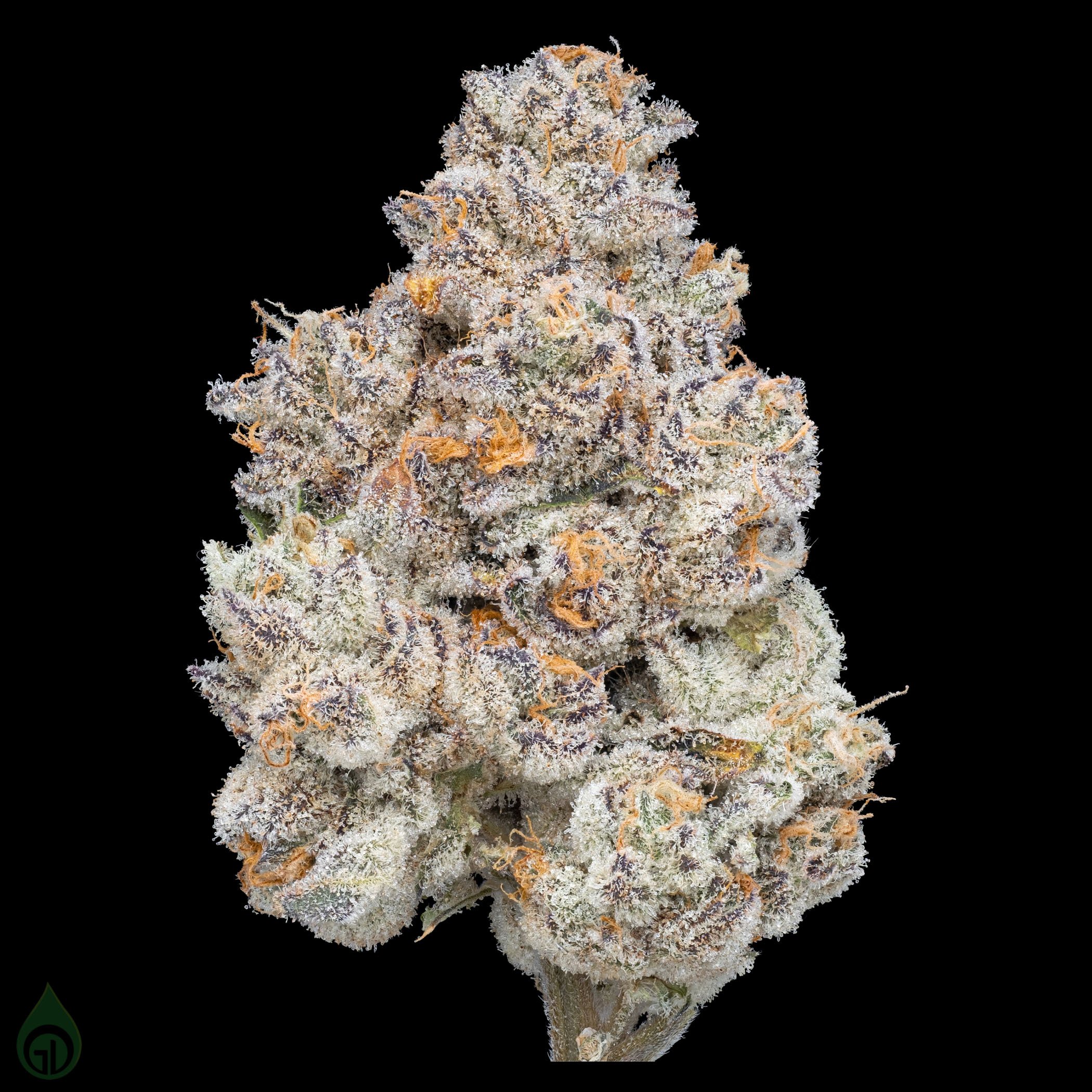 https://www.greendotlabs.com/media/2021/07/Sticky-Grapes-Nug-Shot-1-e1682435400184.jpg