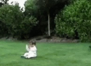 giphy.gif