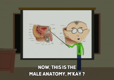 giphy.gif