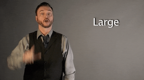giphy.gif
